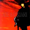 Joe Satriani Cover