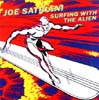 Surfing With The Alien Cover