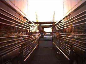 Stereo Busses